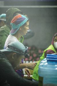 BIB: 
                            <button type="button" onclick="openModal(22310372)" class="btn btn-primary btn-sm float-right btn-popup" data-toggle="modal" data-target=".modal-high-quality">
                        <i class="fas fa-shopping-cart"></i> Add to Cart
                    </button>
                                            <button type="button" onclick="isThisMe(22310372, true)" class="btn btn-success btn-sm float-right btn-popup btn-isme hidden" data-toggle="tooltip" data-placement="bottom" title="นี่คือรูปของคุณใช่ไหม คลิกที่นี่เพื่อเอาเข้าอัลบั้ม">
                        <i class="fas fa-plus"></i> Add to album
                    </button>
                    <button type="button" onclick="isThisMe(22310372, false)" class="btn btn-warning btn-sm float-right btn-popup btn-isnotme hidden">
                        <i class="fas fa-ban"></i> Remove from album
                    </button>